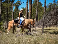 Caballo, Gypsy horse — foto 8