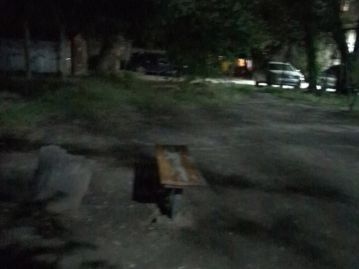 Каче зелено мляко