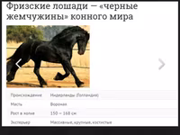 حصان, Friesian — الصورة 3