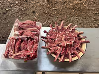 雄羊, Rhon sheep — 写真 6