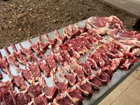 雄羊, Rhon sheep — 写真 7