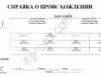 Baran, Dorper sheep — zdjęcie 4