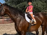 Kısrak, Quarter Horse — foto 7