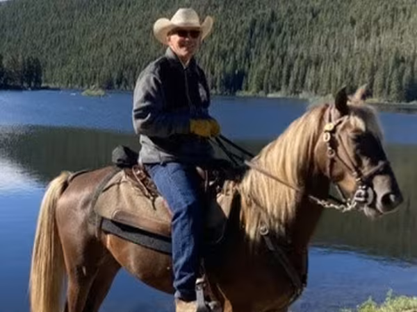 குதிரை, Rocky Mountain Horse