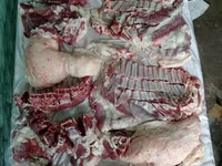 Carneiro, Rhon sheep — foto 2