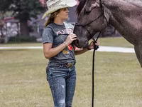 Aygır, Quarter Horse — foto 5