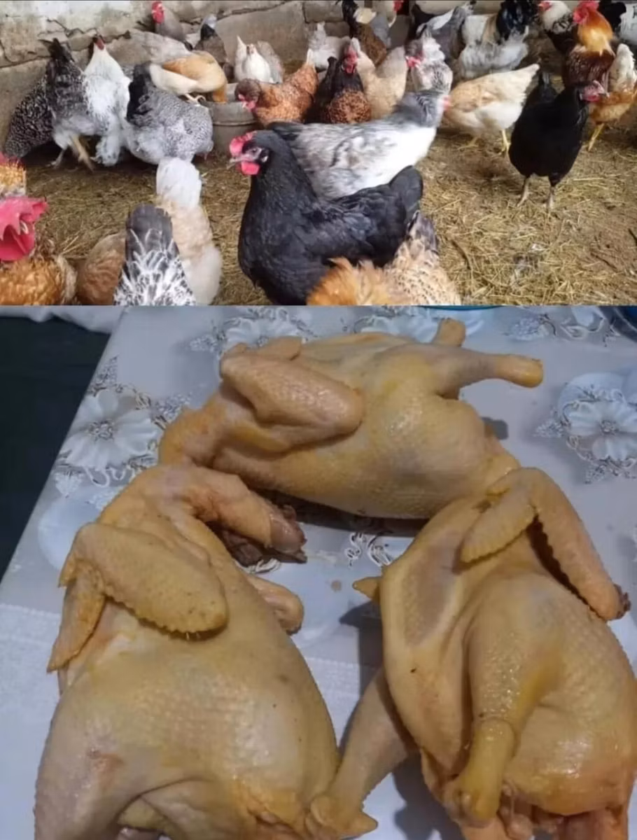 Брама